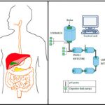 IGR Plus Review – Effective Approach To Improve Your Digestive System!!