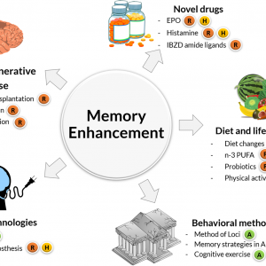 Memory Protocol Ebook Review – Simple & Effective Techniques for Memory Loss Revealed!
