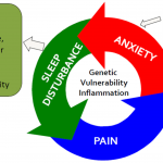 Sleep Faster Rem Vital Review – Permanent Cure For Chronic Sleep Disorders!!