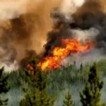 2024 Shatters Climate Records: Navigating the Uncharted Waters of Global Warming.