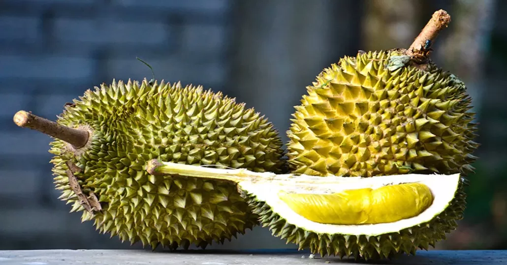 Durian Musang King Buah legendaris dari Malaysia