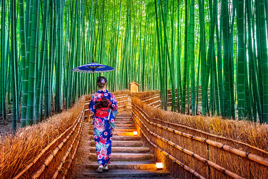 You are currently viewing Arashiyama Bamboo Forest: Pengalaman Menyusuri Hutan Bambu