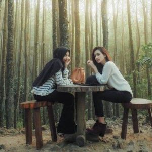 Hutan Pinus Mangunan: Pengalaman dan Tips Lengkap dari Aku
