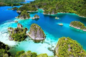 Read more about the article Taman Nasional Teluk Cenderawasih: Surga Laut Papua yang Bikin Ketagihan!