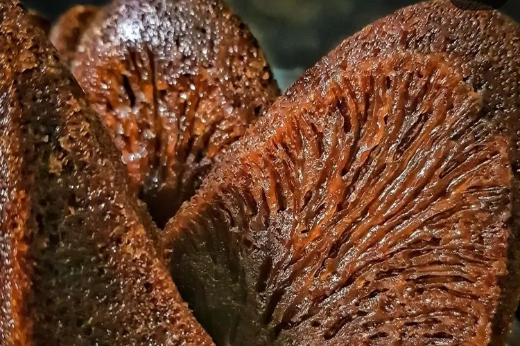 Bolu Karamel