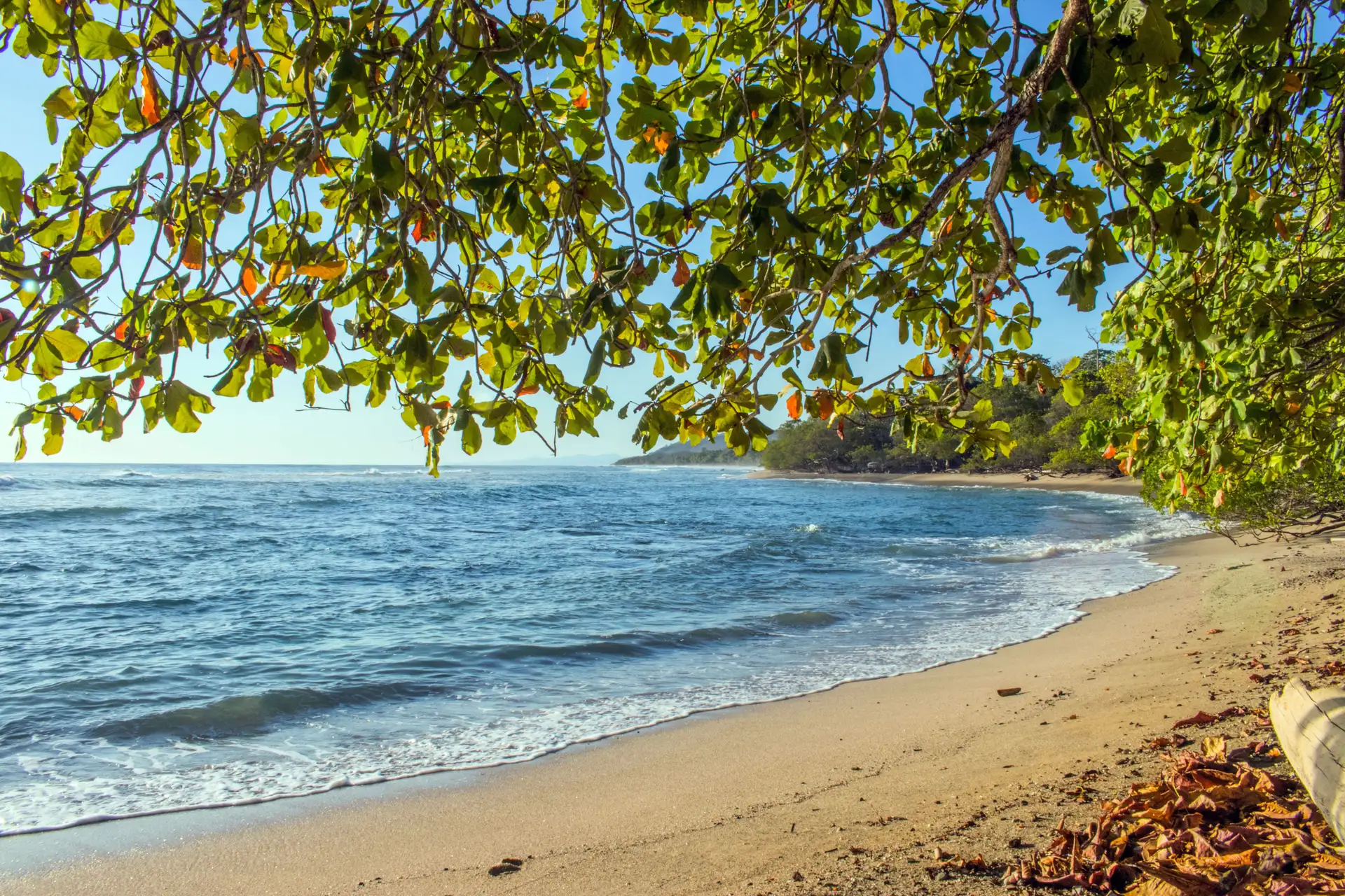 Daya Tarik Utama Pantai Ngurtafur