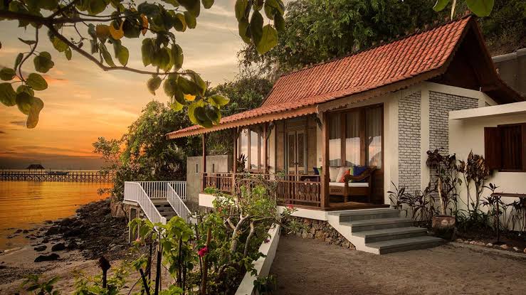 Pilihan Menarik untuk Wisatawan yang Ingin Menjelajahi Komodo